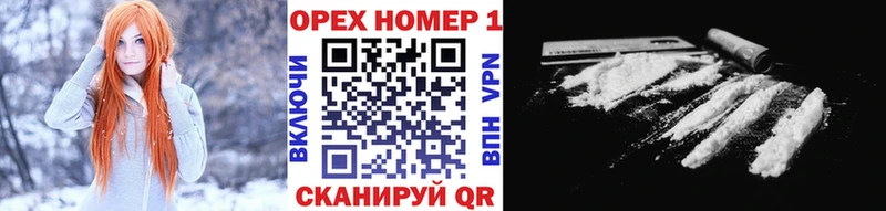Купить закладки  Выборг  COCAIN Fish Scale 