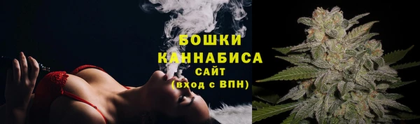 прущие крисы Арсеньев