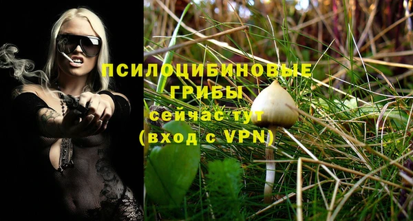 прущие крисы Арсеньев