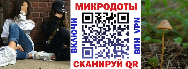 Купить где  Выборг  Псилоцибиновые грибы мицелий 